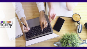 HMG Bullhorn 2018 Website Partner